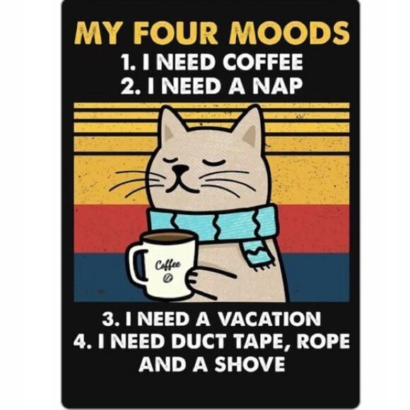 “I Need Coffee…” Grumpy Cat Magnet - Picture 3 of 4